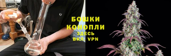mdpv Белокуриха
