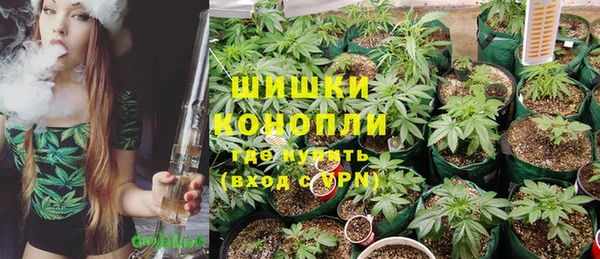 mdpv Белокуриха