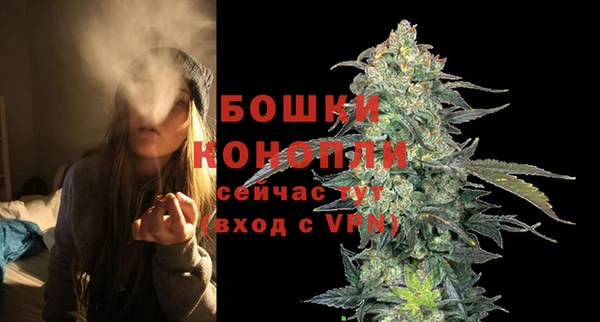 mdpv Белокуриха