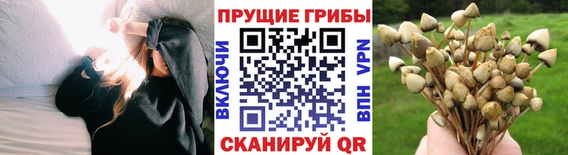 это формула  Бикин  Галлюциногенные грибы мухоморы 