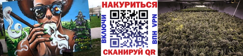 Бошки марихуана ГИДРОПОН  blacksprut ONION  Бикин 